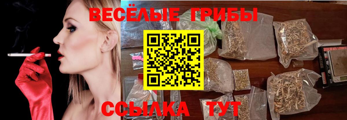 купить наркотик  Галлюциногенные грибы Psilocybine cubensis  Вход с VPN  Семилуки 